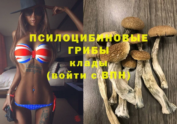 альфа пвп Армянск