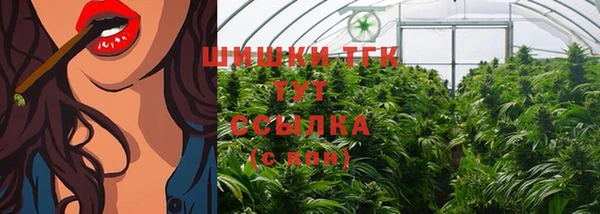 прущие крисы Арсеньев