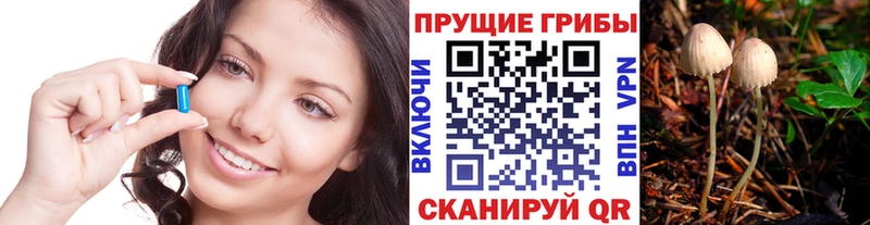 где купить   дарк нет какой сайт  Псилоцибиновые грибы прущие грибы  Нижняя Салда 